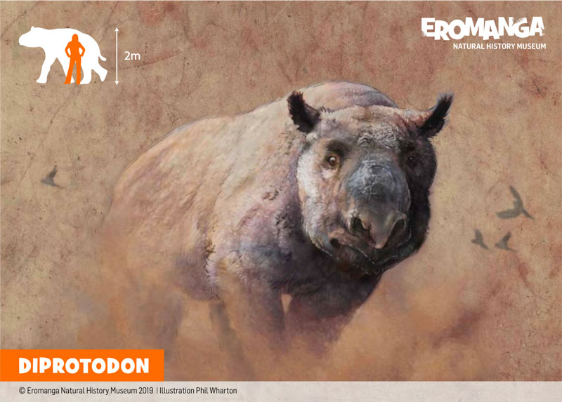 DIPROTODON illustration for ENHM