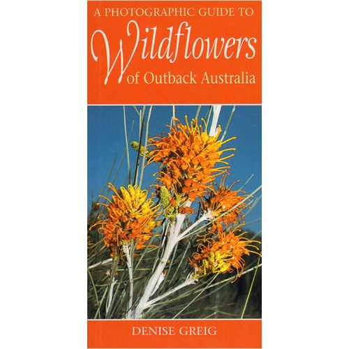 A photographic guide to Wildflowers of Outback Australia
