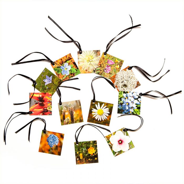 Gift tags - Flora