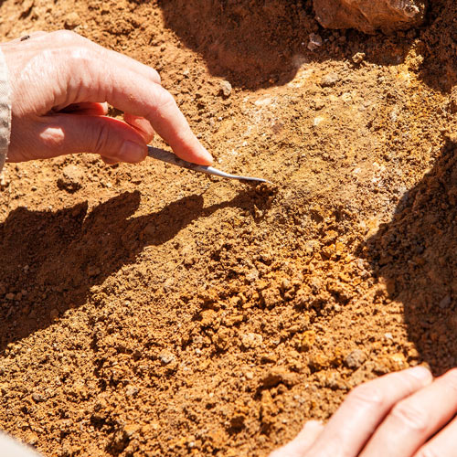 bright coloured dirt at dinosaur dig site